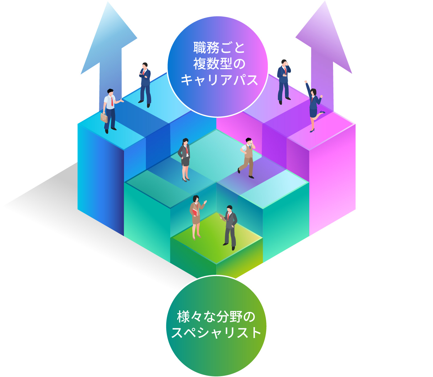 キャリアパスのイメージ